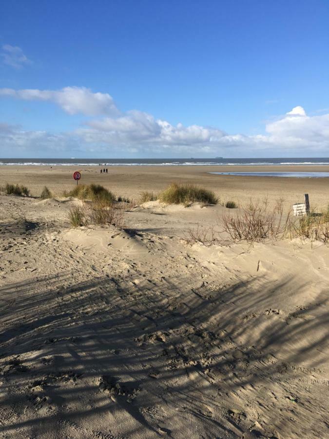 Bel Appartement ZeeBrugge Eksteriør bilde
